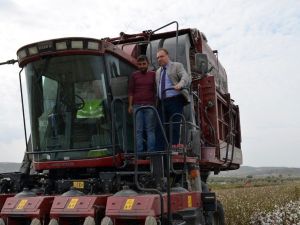 Didim’de pamuk hasadı başladı