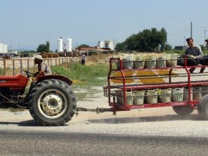 En fazla traktör ve pulluk Manisa’da