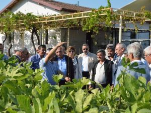Yuntdağı Yunusemre ile kalkınıyor