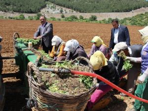 Baştuğ, “Çiftçilerimize zirai alet hibe desteği şart”