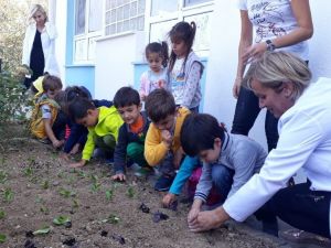 Çeşme’de, minik eller sebze fidanı dikti