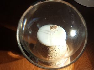 Dünyanın en küçük Kur’an-ı Kerim’i Kuşadası’nda sergileniyor