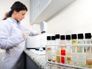 Ege Üniversitesi 192 sıra birden yükseldi, dördüncü oldu