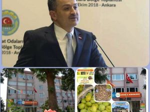 Aydın pilot il oldu