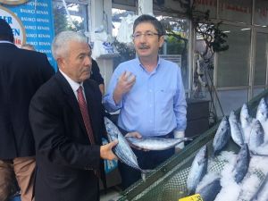 “Sağlık için balık tüketin”