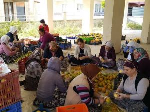 Kısır gününde ortaya çıkan fikir mahallenin kadınlarını iş sahibi yaptı