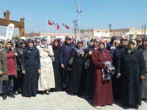 Arıcılık Kursu’na katılan 46 kursiyerden 45’i bayan