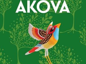 Akgün Akova’nın  ‘İçimden Geçen Yolda’ adlı yeni kitabı raflarda