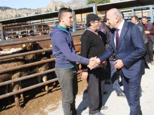 Kuyucak’ta genç çiftçilere damızlık hayvanları teslim edildi