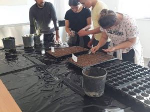 Çavdarhisar’da ’Sebze fidesi yetiştirme’ kursu