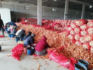 Soğanı fiyat artırmak için depoya hapsettiler