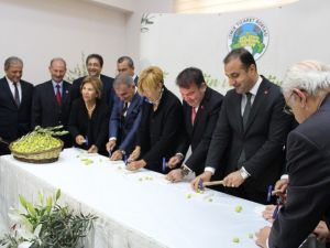 Dünya Zeytin Gününde 1. Zeytin Festivali
