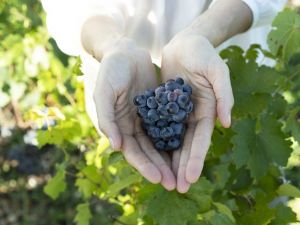 Güzel ellerin sırrı doğada saklı