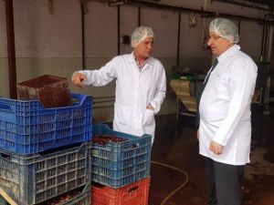 Kebabı ve şekeriyle ünlü kestaneler için tanıtım başlatılacak