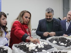 Safiye Soyman: “Engelli annesi olarak isyan ediyorum”