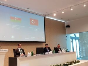 Türkiye ve Azerbaycan tarım sektöründe iş birliği yapacak
