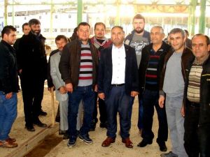 Sarıgöl’de 21 Genç çiftçiye 105 düve dağıtıldı
