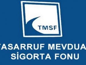 TMSF’deki şirketlerin piyasa değeri 55 milyar TL