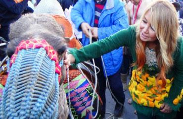 Yonca Evcimik, Deveden Önce Özür Diledi Sonra Üstüne Bindi