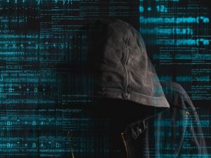 İnternette oltaya gelmeyin