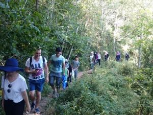 Turizmin ekonomik büyümeye katkısı yüzde 4,3