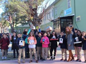 Spil Ortaokulu öğrencileri kuşlara umut oldu