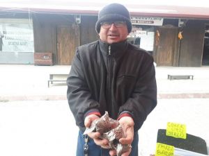 "Eklem ağrım var" diyen bamya tohumu alıyor