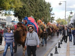 Bodrum Deve Güreşi Festivali kortej yürüyüşü ile başladı