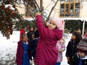 Öğrenciler kuşlar için yemlikler ve yem hazırladı