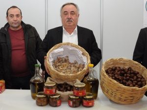 Aydın’ın en meşhur efeleri: İncir, kestane, zeytin
