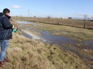 Su basan mahalleler dezenfekte ediliyor