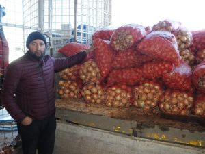 Küf hastalığı soğan fiyatlarını yükseltti