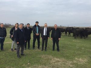 Öztürk’ten Salihli’de manda çiftliğine ziyaret