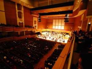 "Genç Saygun"lar geliyor