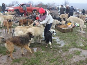 Gençler 200 bin saatlik gönüllülük hizmeti yapacak
