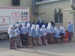 Bu işletme hem ekonomiye hem de sağlığa destek veriyor