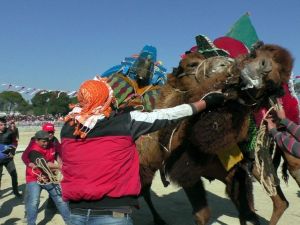 Pehlivan develer nefes kesti