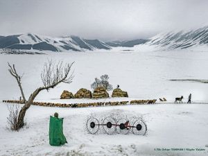 En iyi ‘tarım’ fotoğrafları