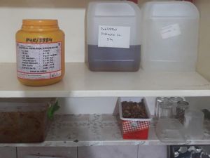 Kaçak nargile tütünleri lüks kafelerde müşterilere sunulmuş