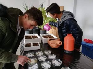 Tarım Lisesi’nde ’’Süs bitkileri kursu’’