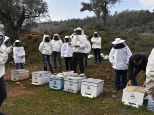 Kovan başı eğitimleri başladı