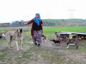Kadın üretici, Çakırbeyli Köy Pazarı’nda kazandığı parayla evini yaptı