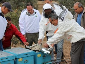 Arıcılar sertifikalarını aldı