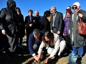 Amber Türkmen Kadınlar Günü’nde kadınlarla birlikte 100 adet çam ağacı dikti