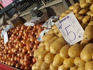 Ödemiş’te patates 5, soğan 7 lira