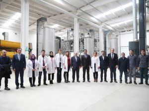 Siirt fıstığı dünyaya açılıyor