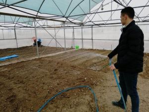 Okulda sebze yetiştiriyorlar