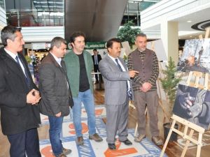 Kütahya’da ‘Yemyeşil Bir Yolculuk’ isimli fotoğraf sergisi