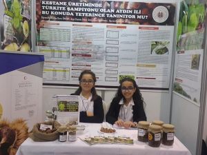 Kestane konulu projeleri ile finale kaldılar