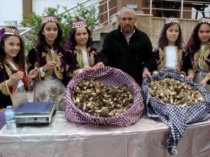 11. Dastar ve Kuzugöbeği Festivali renkli görüntülerle başladı